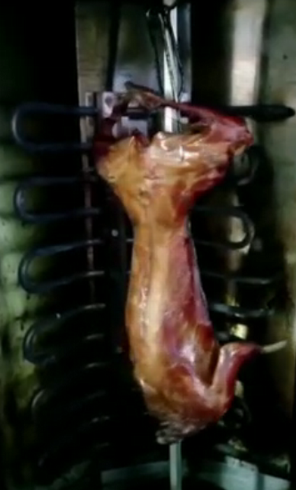 烤兔肉培训过程展示